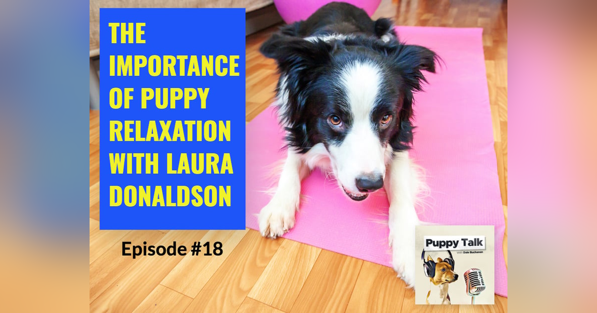 The Importance of Puppy Relaxation with Laura Donaldson The Importance of Puppy Relaxation with Laura Donaldson