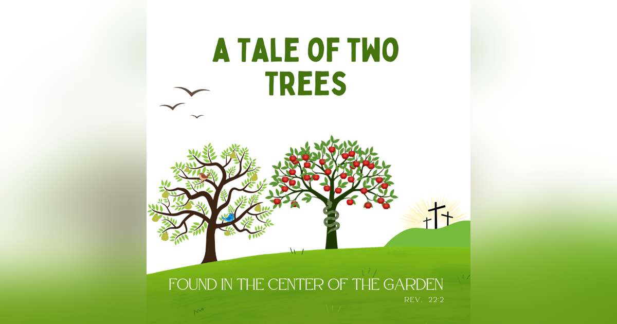 Message Monday - Tale of Two Trees Message Monday - Tale of Two Trees