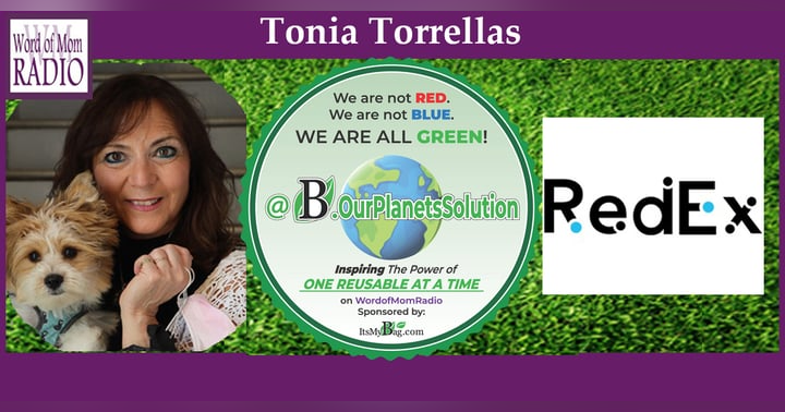 image for Collaborating to Create Sustainable Solutions: Redemption Programs and the BottleBin App