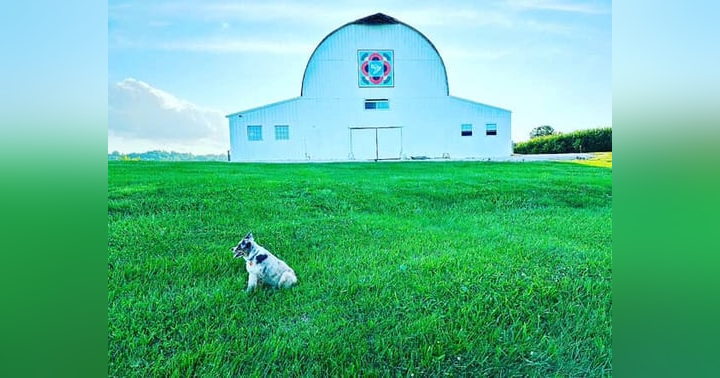 image for Ramble at the Randall 2025: Kentucky’s Best Americana Barn Show