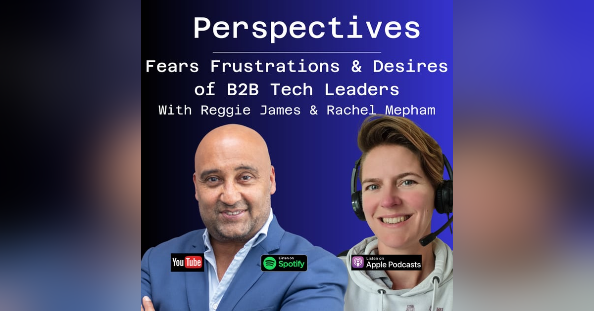 Fears, Frustrations and Desires of B2B Tech Leaders Fears, Frustrations and Desires of B2B Tech Leaders