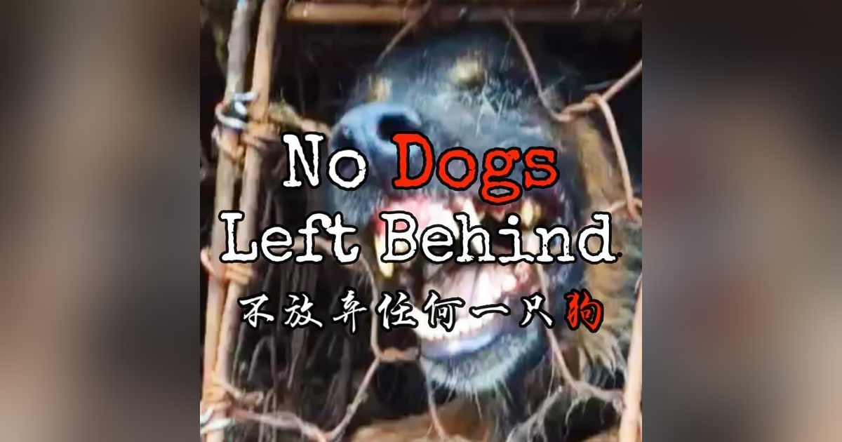 Season 2-Episode 5 - No Dogs Left Behind Season 2-Episode 5 - No Dogs Left Behind
