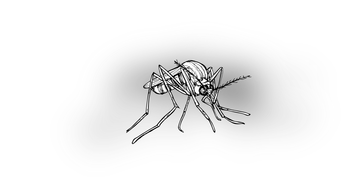 The Highland Midge The Highland Midge