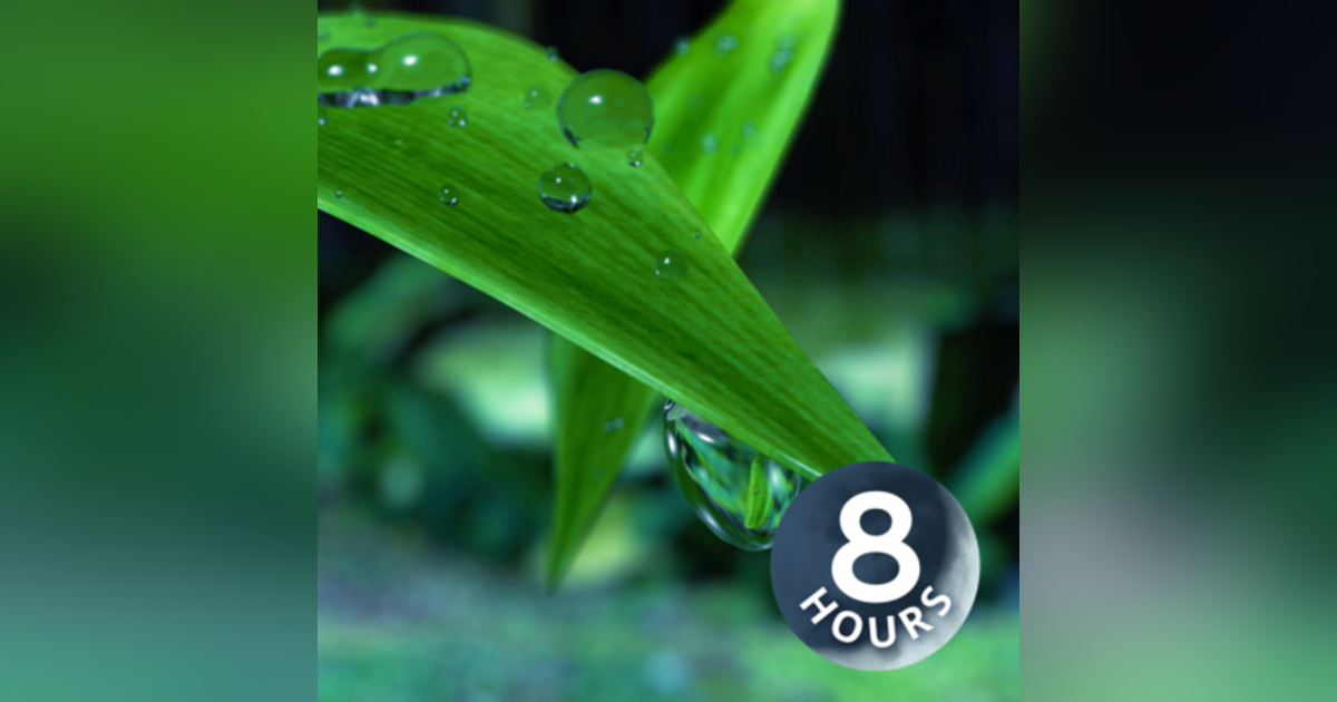 Rain at Night in Hawaii 8 Hours | Sleep, Study or Relax with White Noise Rainstorm Sounds Rain at Night in Hawaii 8 Hours | Sleep, Study or Relax with White Noise Rainstorm Sounds