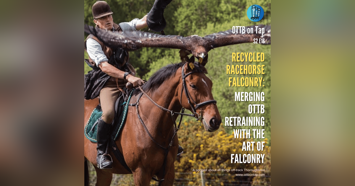 S2 E16: Recycled Racehorse Falconry - Merging OTTB Retraining with the Art of Falconry S2 E16: Recycled Racehorse Falconry - Merging OTTB Retraining with the Art of Falconry