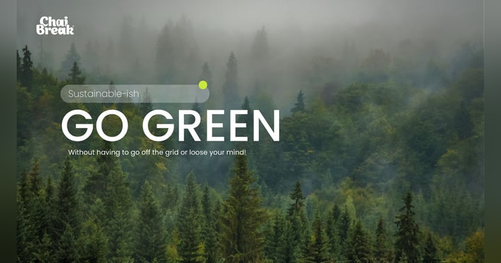 image for Sustainable-ish: Figuring Out How to Live Green Without Going Off the Grid