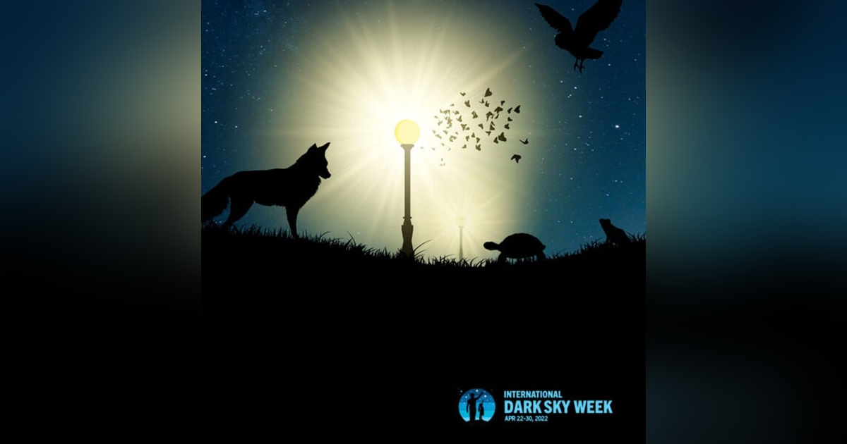 S03E04: John Whittall - National Parks and Wildlife Service NSW S03E04: John Whittall - National Parks and Wildlife Service NSW