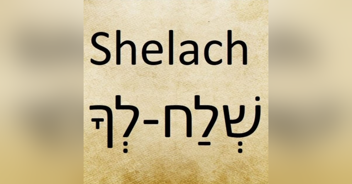 Parasha Sha'lach: Numbers 13:1-15:41 Parasha Sha'lach: Numbers 13:1-15:41