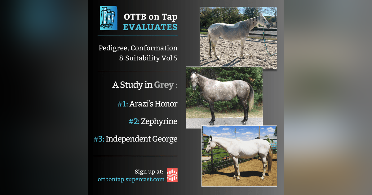 OTTB on Tap Evaluates Vol 5: A Study in Grey - Arazi's Honor, Zephyrine & Independent George OTTB on Tap Evaluates Vol 5: A Study in Grey - Arazi's Honor, Zephyrine & Independent George