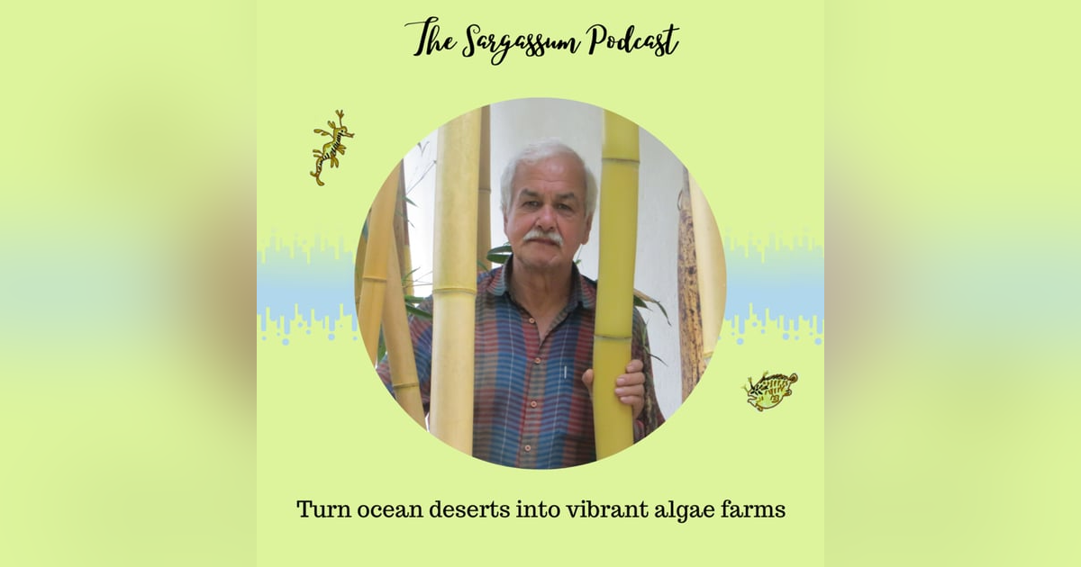 Episode 4: Turning Ocean deserts into vibrant algae farms with Victor Smetacek Episode 4: Turning Ocean deserts into vibrant algae farms with Victor Smetacek
