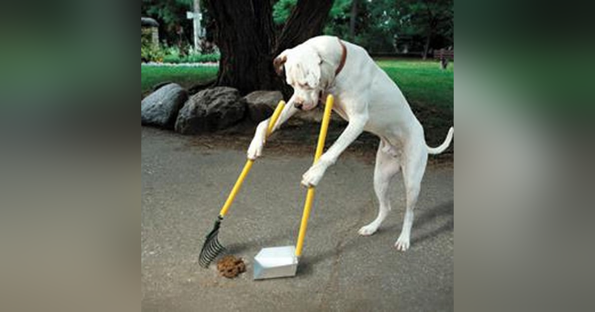 10: Party In China Episode 10 10: Party In China Episode 10