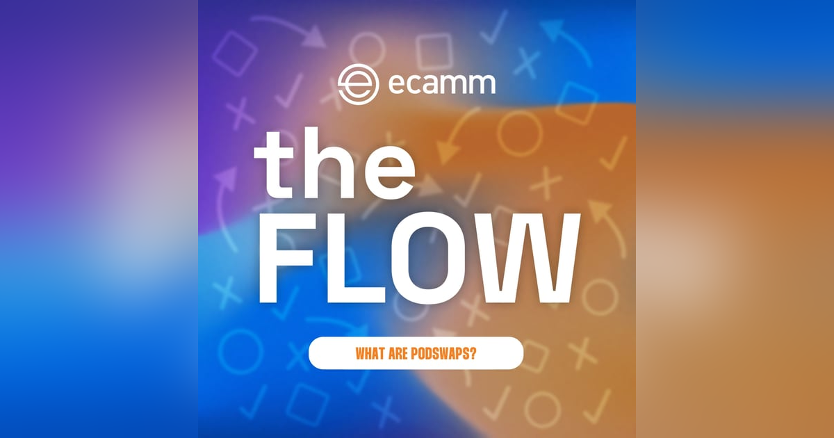The Flow: Episode 14 - What are PodSwaps & Why I Need Them? The Flow: Episode 14 - What are PodSwaps & Why I Need Them?