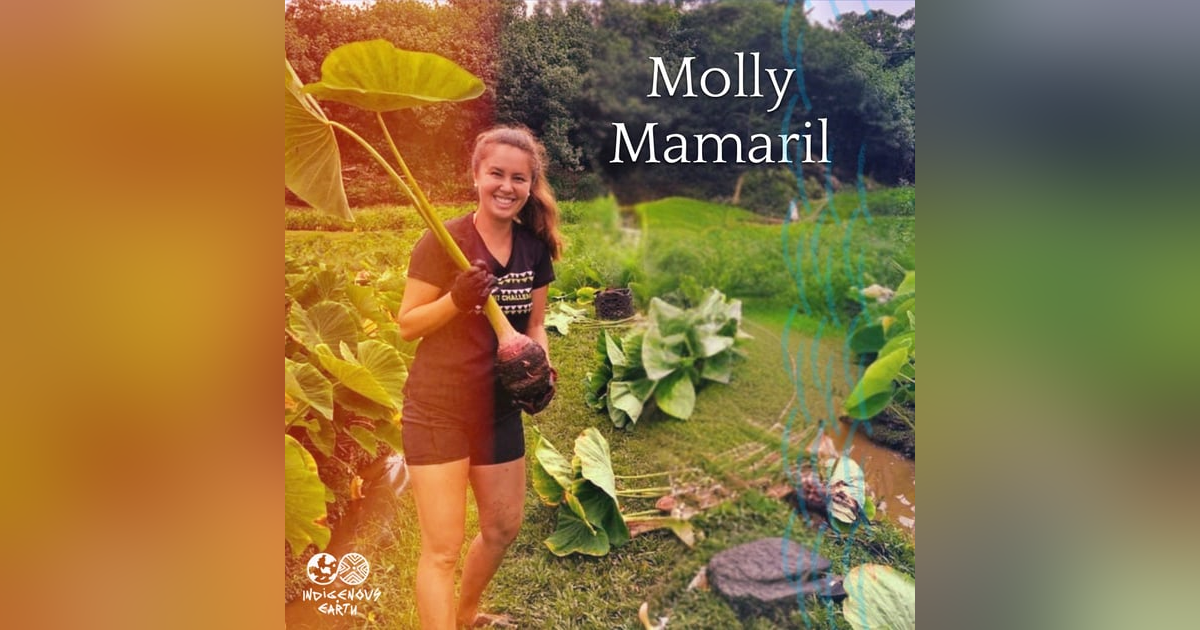 How Ancient Hawaiian Wisdom Can Transform Your Daily Life and Community with Molly Mamaril How Ancient Hawaiian Wisdom Can Transform Your Daily Life and Community with Molly Mamaril