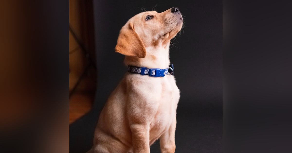 MOTIVATIONAL MOMENTS - BEING PRESENT MOTIVATIONAL MOMENTS - BEING PRESENT