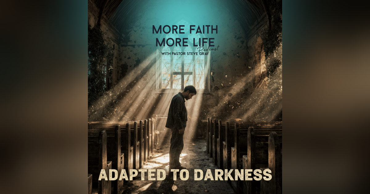 Adapted to Darkness | # 131 Adapted to Darkness | # 131