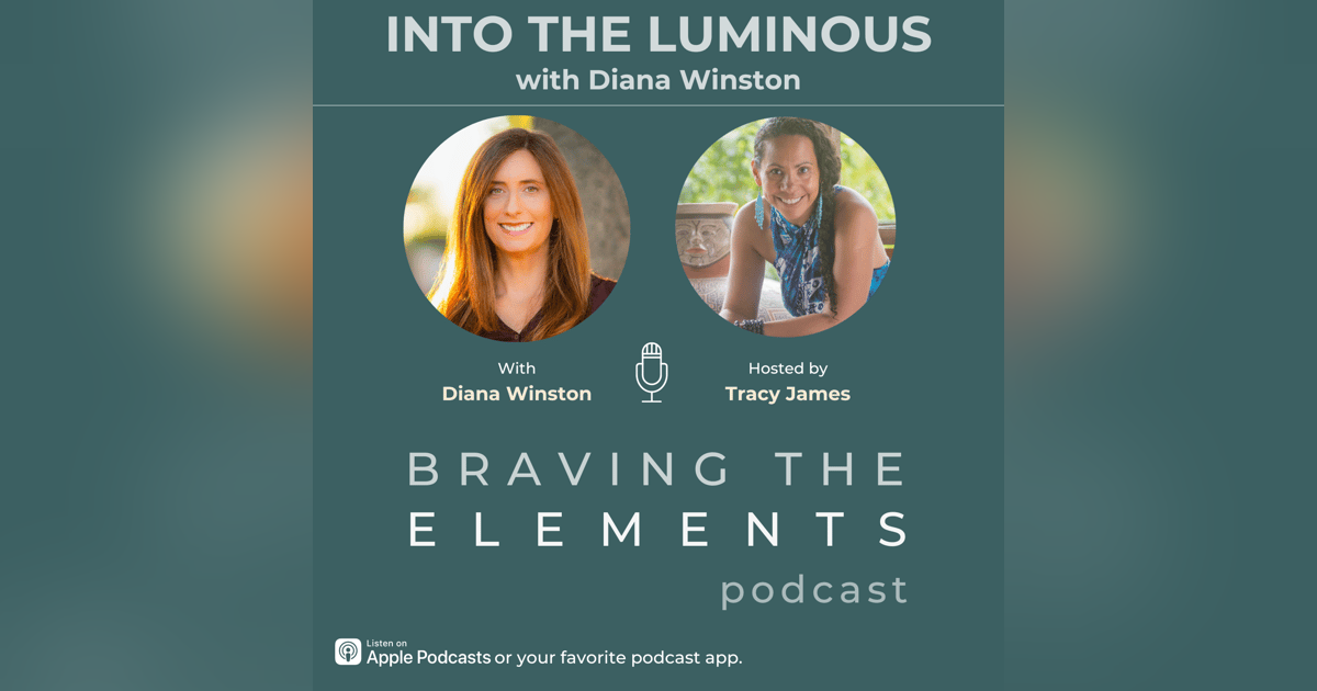 S3:E11 Into The Luminous with Diana Winston S3:E11 Into The Luminous with Diana Winston