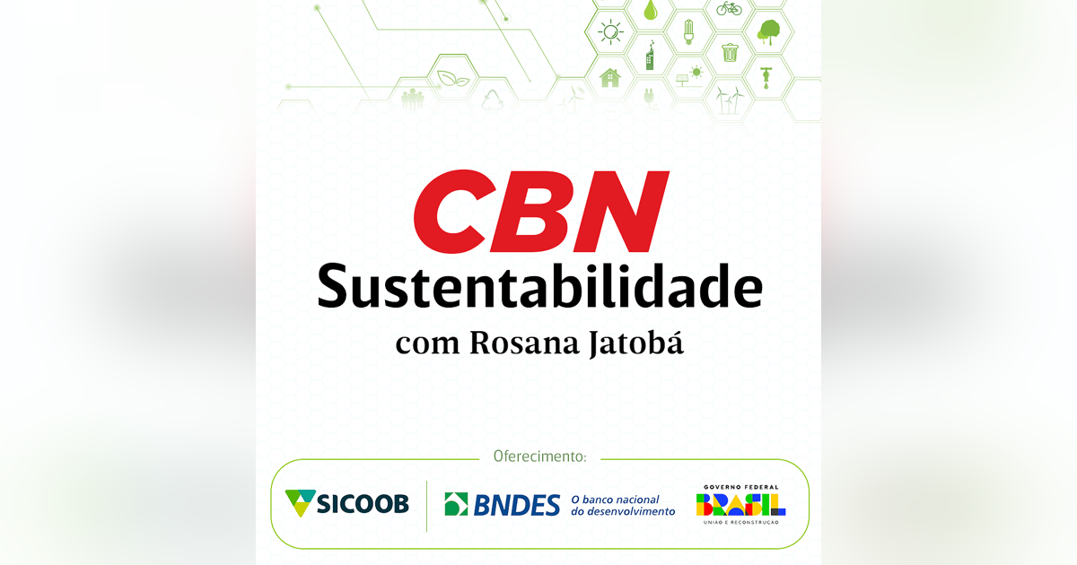 Favela Holding incentiva empreendedorismo para desassociar favela de aspectos negativos Favela Holding incentiva empreendedorismo para desassociar favela de aspectos negativos