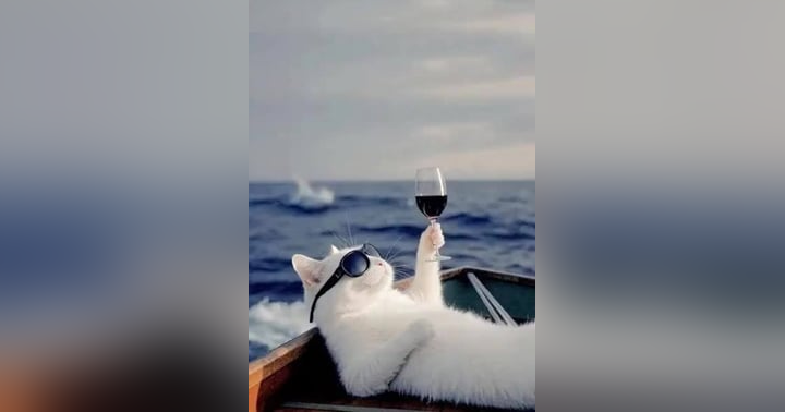 image for Liquor Industry News 03-28-26