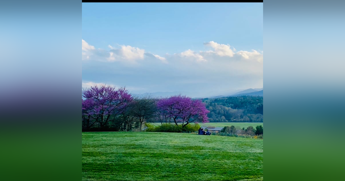 Bloom and Belong: An Easter Blessing with Family Bloom and Belong: An Easter Blessing with Family