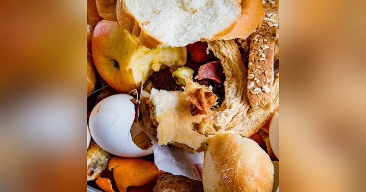 image for Tackling Food Waste and Poverty: What Plan Zheroes is Doing Today