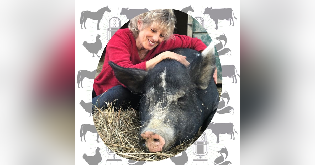 Kathy Stevens: The True Lives of Turkeys and Leading with Love Kathy Stevens: The True Lives of Turkeys and Leading with Love