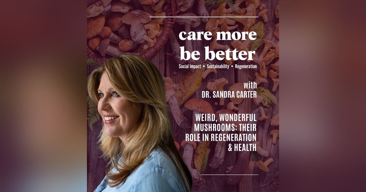 Dr. Sandra Carter | Weird, Wonderful Mushrooms: Their Role In Regeneration & Health Dr. Sandra Carter | Weird, Wonderful Mushrooms: Their Role In Regeneration & Health