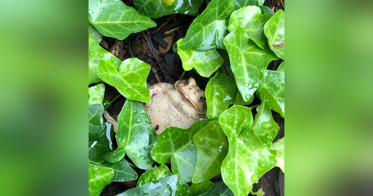 Episode #38 Episode #38