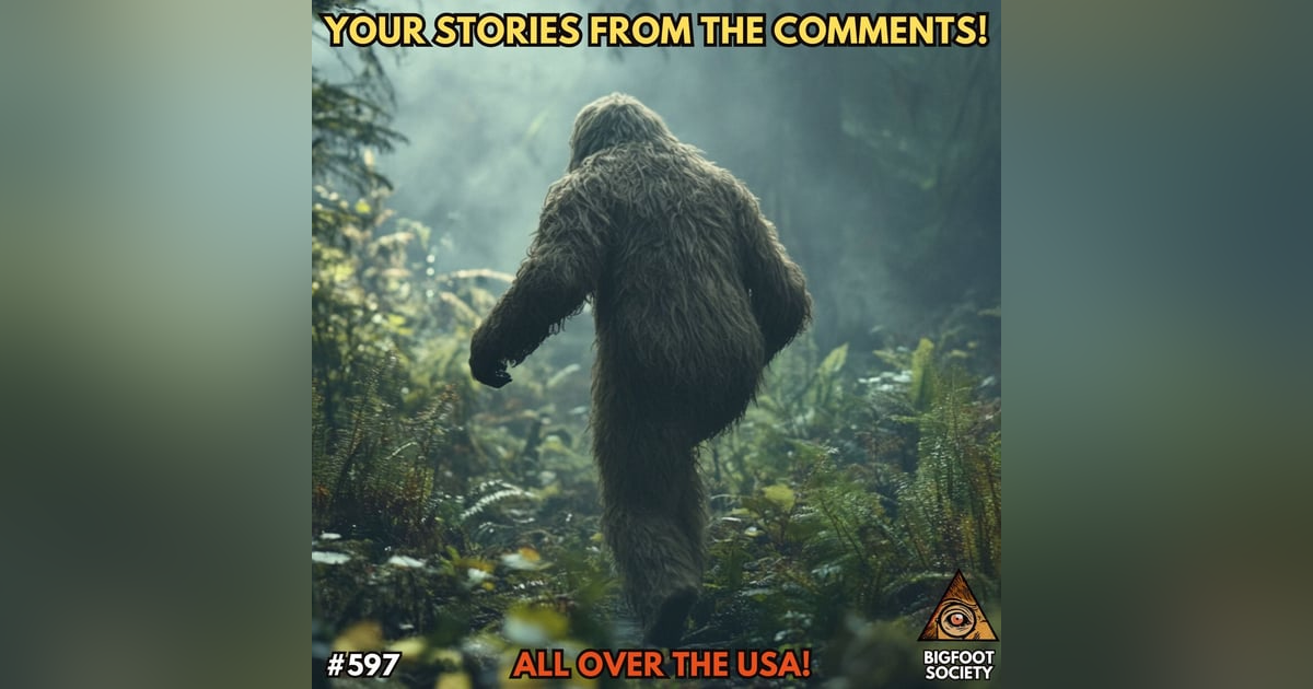 Listener Bigfoot Encounters from the Comments! Listener Bigfoot Encounters from the Comments!