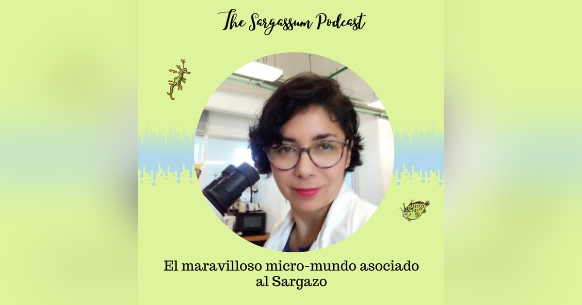 Ep.18: Sargazo como imán para la biodiversidad marina con Dr. Verónica Monroy. Ep.18: Sargazo como imán para la biodiversidad marina con Dr. Verónica Monroy.