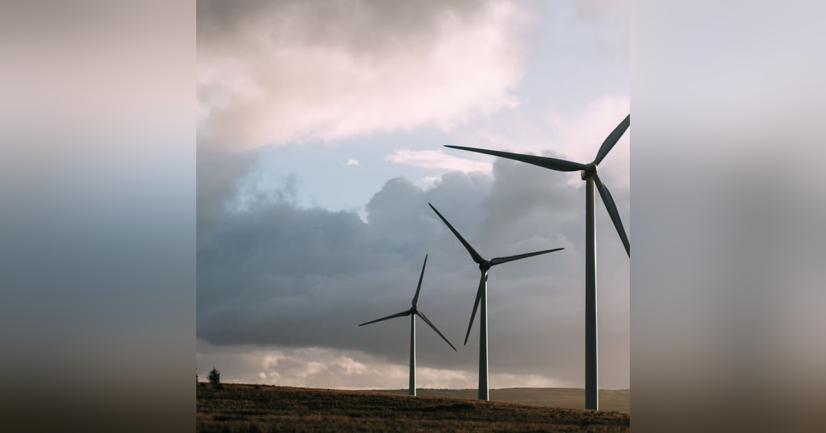 Prensa económica: Red Eléctrica apaga 80 empresas para salvar su modelo energético ruinoso y evita el colapso Prensa económica: Red Eléctrica apaga 80 empresas para salvar su modelo energético ruinoso y evita el colapso