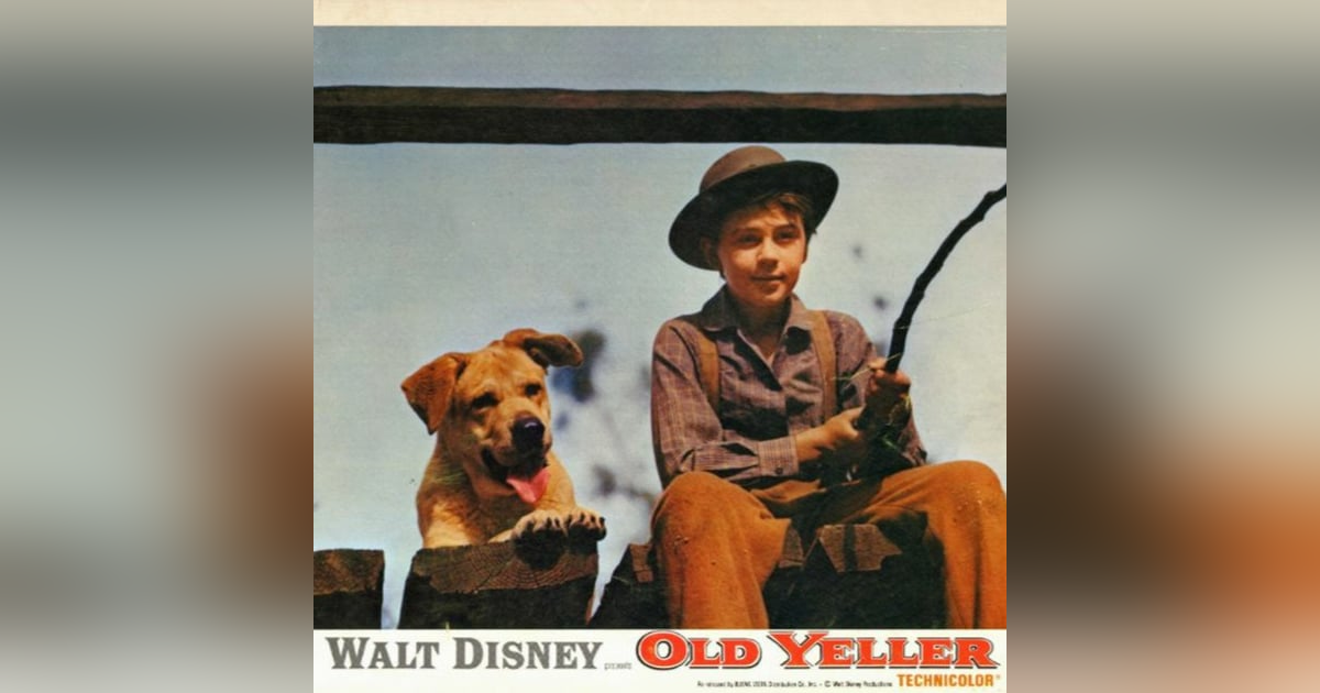 LoFi Top 5 - 39 - The Guy Cry Episode LoFi Top 5 - 39 - The Guy Cry Episode