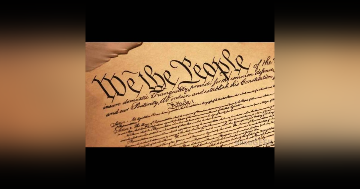 687: Should We Amend the Constitution for the Environment?: A constitutional scholar (Michael Herz) and American abolition historian (James Oakes) 687: Should We Amend the Constitution for the Environment?: A constitutional scholar (Michael Herz) and American abolition historian (James Oakes)