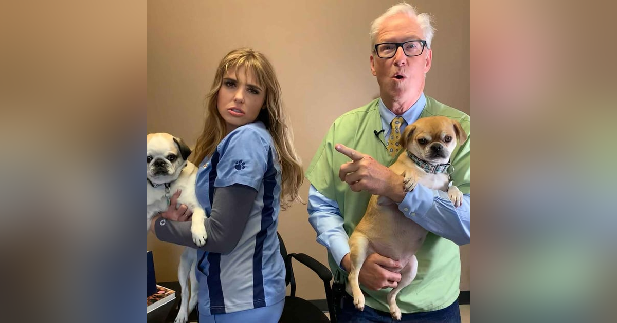 1295. Actress Ashley Bell Talks About Her Furry-Family 1295. Actress Ashley Bell Talks About Her Furry-Family