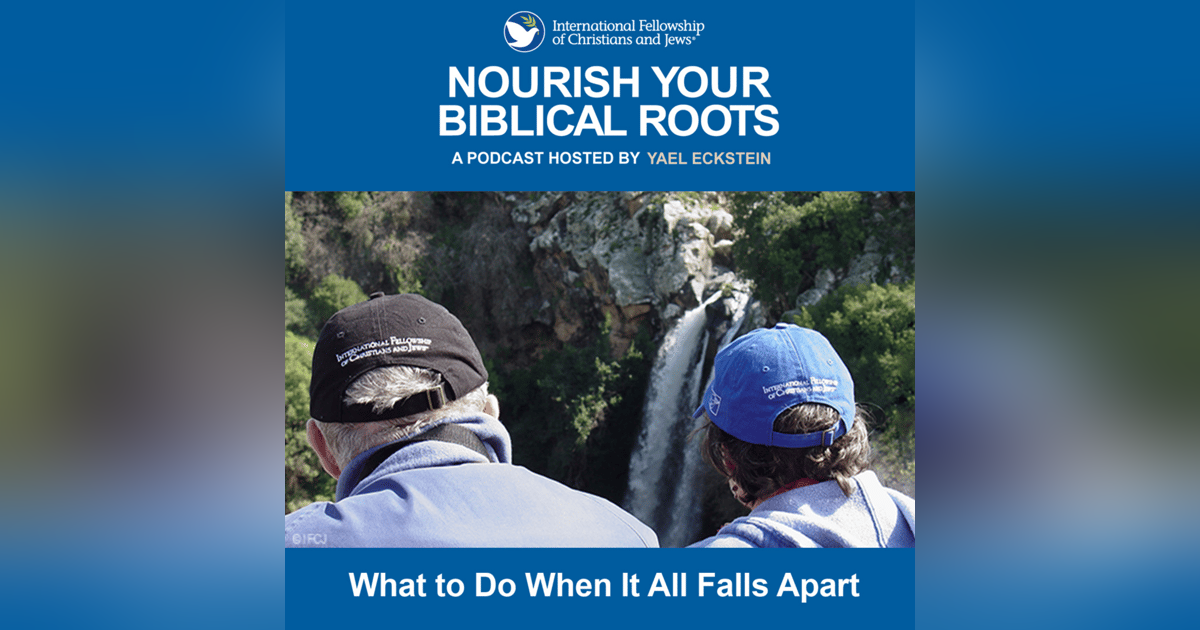 What to Do When It All Falls Apart What to Do When It All Falls Apart