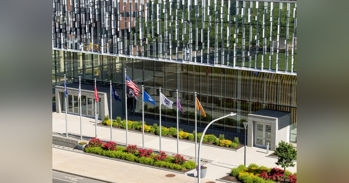 image for College of Professional Studies Leads the Way for Military-Connected Student Support