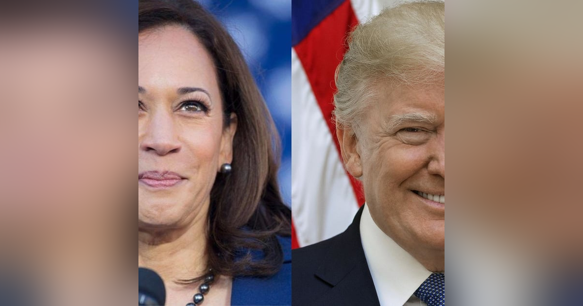 Como Trump pode reagir caso perca as eleições?: 'Mídias norte-americanas só falam disso' Como Trump pode reagir caso perca as eleições?: 'Mídias norte-americanas só falam disso'