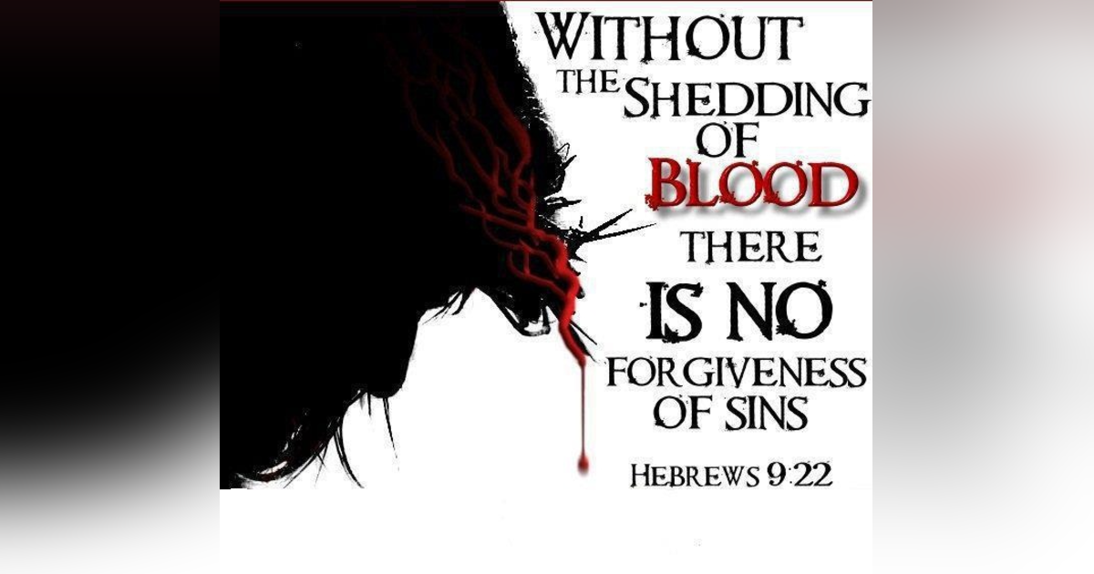 #323 What is My Loved One Doing in Heaven Now? + Why Does Forgiveness Require the Shedding of Blood? (Part 1) #323 What is My Loved One Doing in Heaven Now? + Why Does Forgiveness Require the Shedding of Blood? (Part 1)