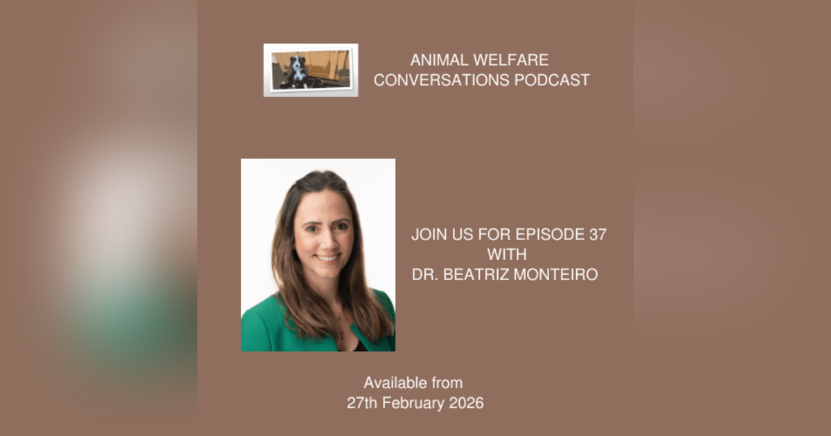Assessing Pain, Improving Welfare: Insights from Dr Beatriz Monteiro Assessing Pain, Improving Welfare: Insights from Dr Beatriz Monteiro