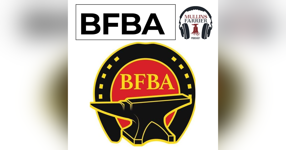 BFBA Focus Convention and the International at Stoneleigh BFBA Focus Convention and the International at Stoneleigh