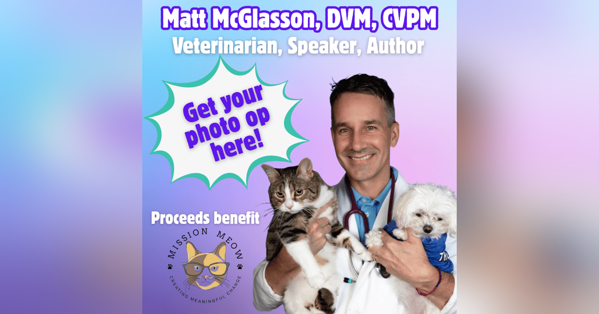 What Dr. Matt Wants Every Cat Lover (and Non-Cat Person) to Know! ๐พ | PurrCon Party Live What Dr. Matt Wants Every Cat Lover (and Non-Cat Person) to Know! ๐พ | PurrCon Party Live