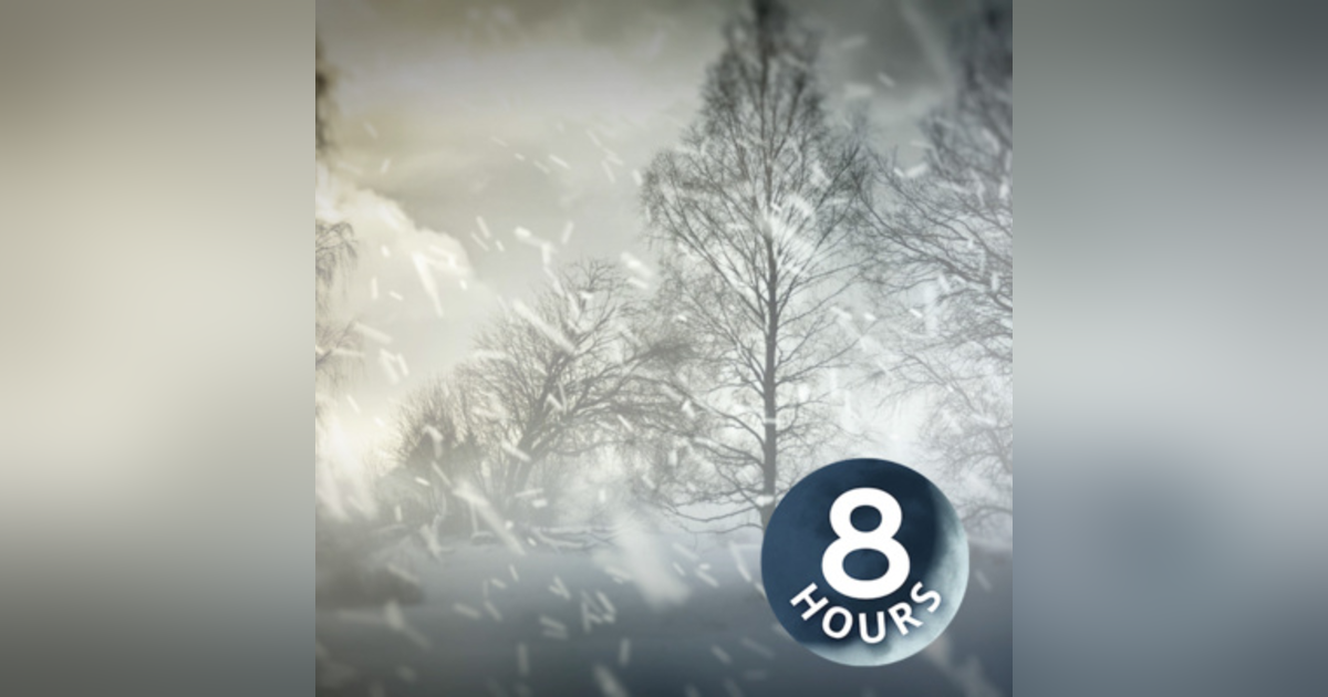 Arctic Blizzard 8 Hours | Storm White Noise for Relaxation, Focus or Sleep Arctic Blizzard 8 Hours | Storm White Noise for Relaxation, Focus or Sleep