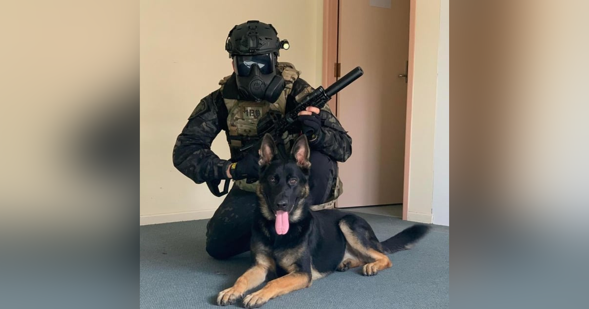 Steve Ditmars K9 Police Story Steve Ditmars K9 Police Story