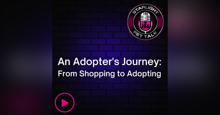 image for An Adopters Journey: From Shopping to Adopting