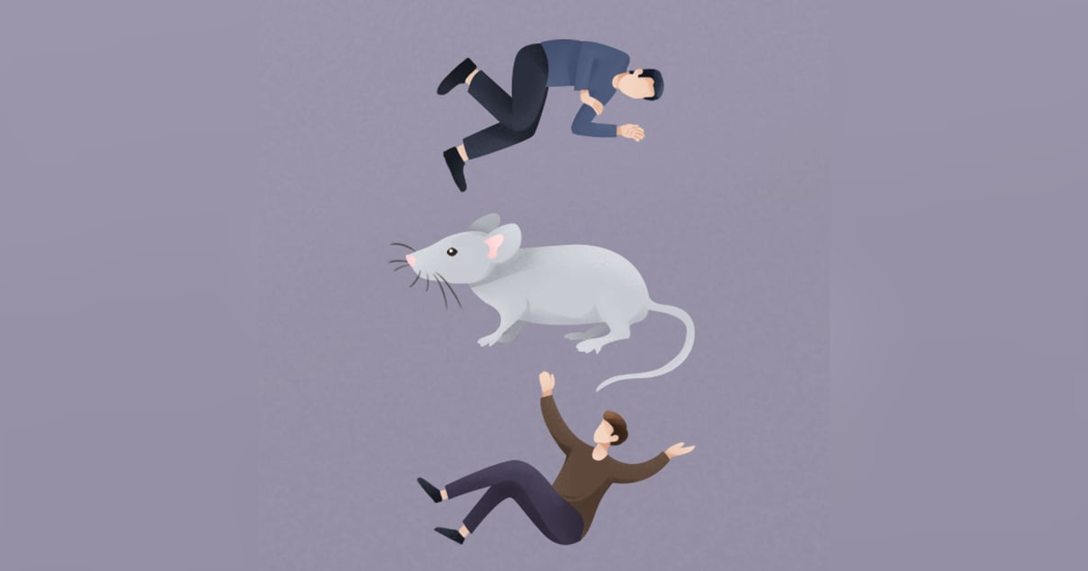 Des souris et des hommes Notes de lecture Des souris et des hommes Notes de lecture