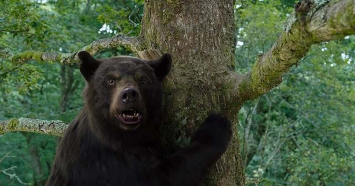 Cocaine Bear & SuperTed Cocaine Bear & SuperTed