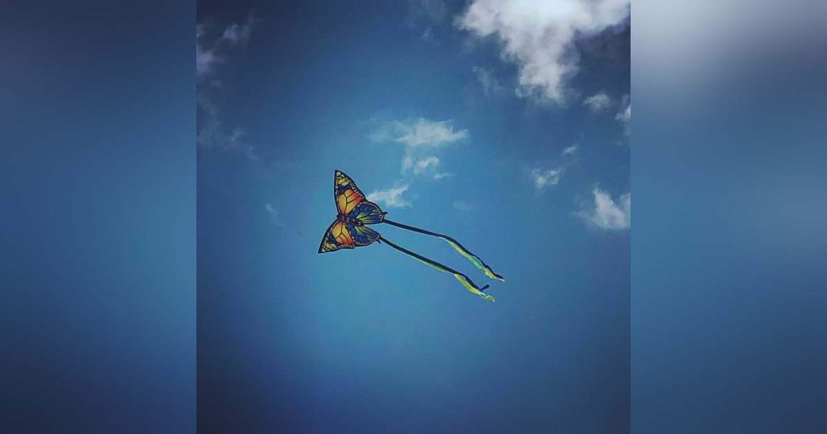 Kamusal meselelerde müzakere Kamusal meselelerde müzakere