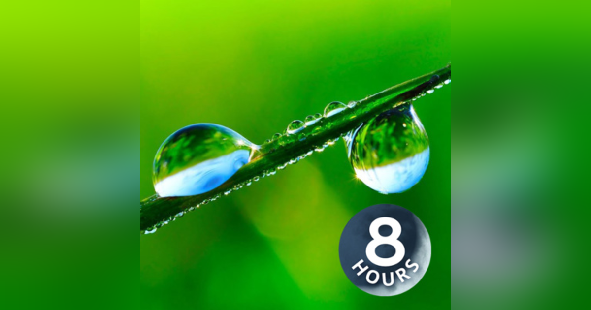 Rain Sound for Sleeping 8 Hours | White Noise Rainstorm Rain Sound for Sleeping 8 Hours | White Noise Rainstorm