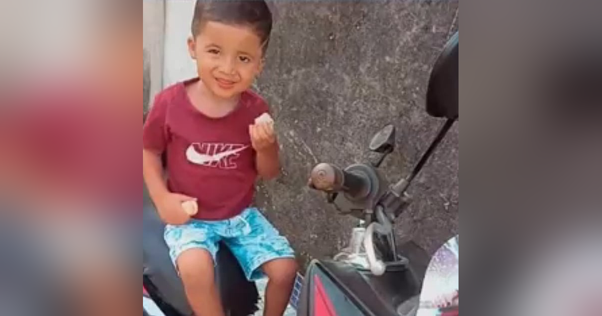 Criança de 4 anos é encontrada morta em piscina em Santa Cruz, na Zona Oeste do RJ Criança de 4 anos é encontrada morta em piscina em Santa Cruz, na Zona Oeste do RJ