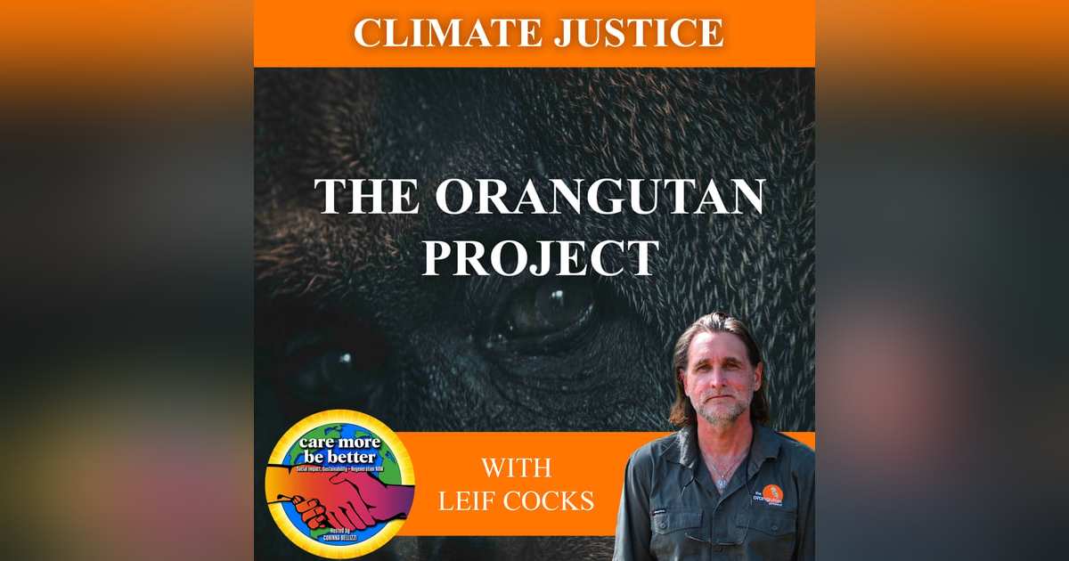 The Orangutan Project With Leif Cocks The Orangutan Project With Leif Cocks