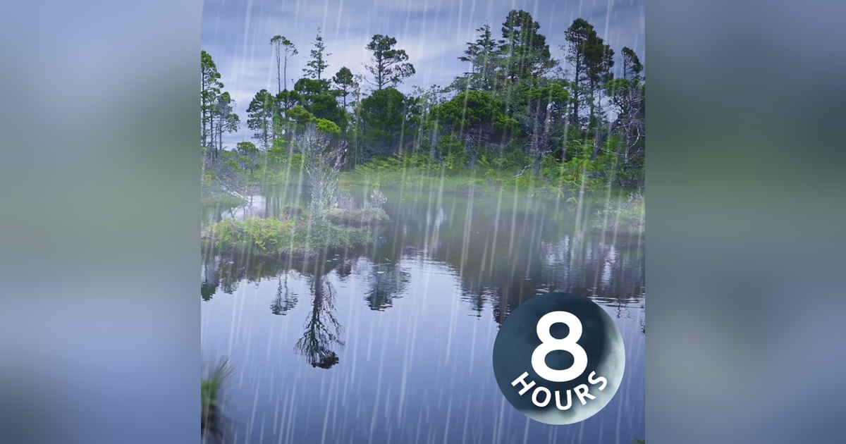 Rain Falling Sounds on Enchanted Pond 8 Hours I Relaxing Rainstorm White Noise for Sleep Rain Falling Sounds on Enchanted Pond 8 Hours I Relaxing Rainstorm White Noise for Sleep
